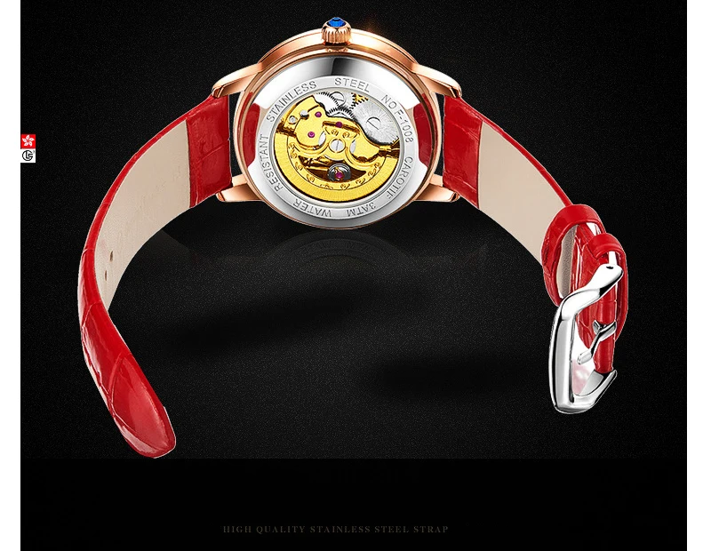 Watch-Men-Luxury-Waterproof-Mechanical-Watch-Men-Automatic_14