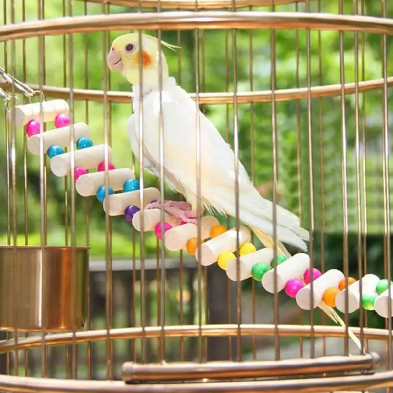 

AHUAPET Parrot Toys Hammock With Stand Cage Platform Bird Cage Pappagallo Wood Stainless Steel Totoro Ladder Pigeon Supplies E