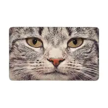 Милый Кот смотреть прямо на дверь камеры Коврик противоскользящий входной коврик Пол Ковер Крытый двери коврики подложки x-большой
