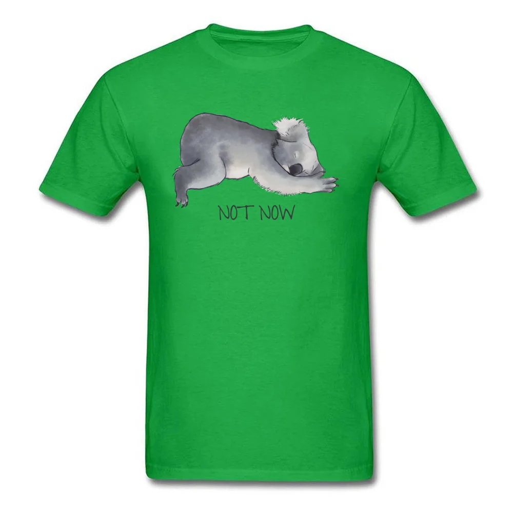 Koala Sketch - Not Now - Lazy animal_green