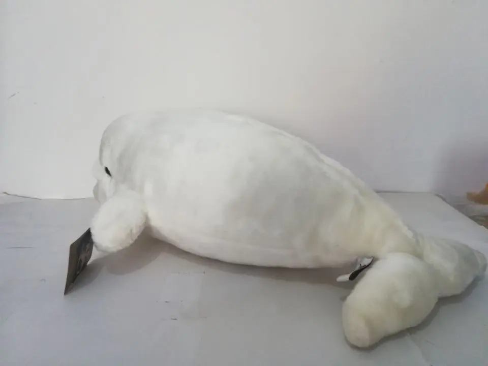 85