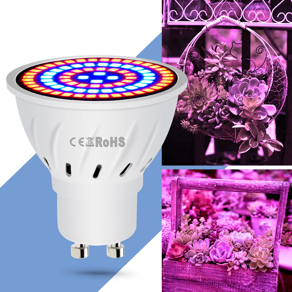 

E27 LED Grow Light Full Spectrum E14 LED Lamp Plant Growing GU10 Plant Light MR16 220V Grow Lamp 2835 B22 Greenhouse 48 60 80led