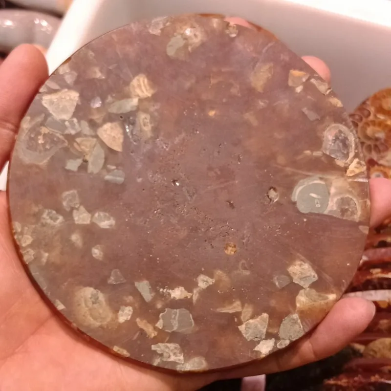 11-12 см настоящий аммонит Fossil Slice Plate кристальная океанская раковина камень Мадагаскар минеральный исцеляющий витрина, домашний декор