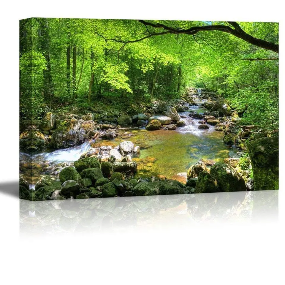 71iDwpR7yxL._SL1000_