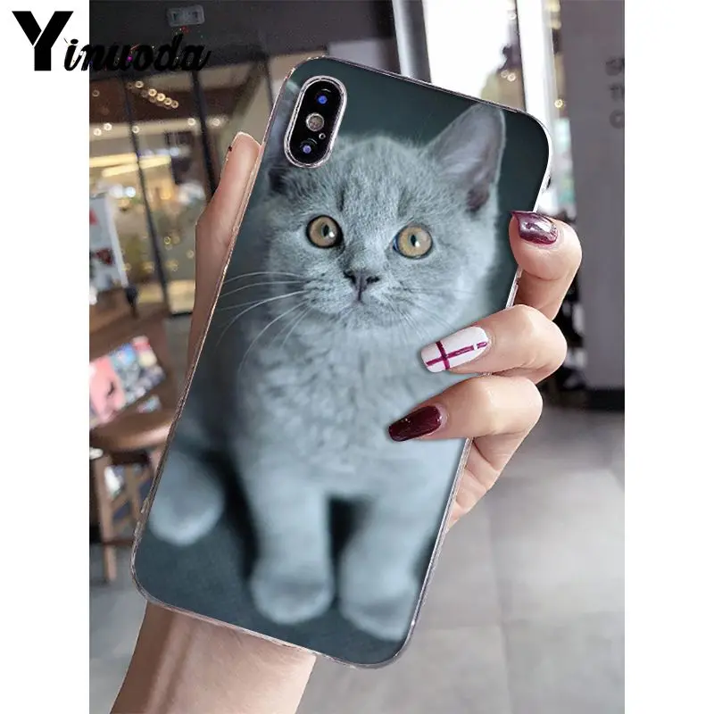 Yinuoda Британский короткошерстный Кот поделка-чехол для телефона для iPhone 5 5Sx 6 7plus 8 8Plus X XS MAX XR Fundas Capa