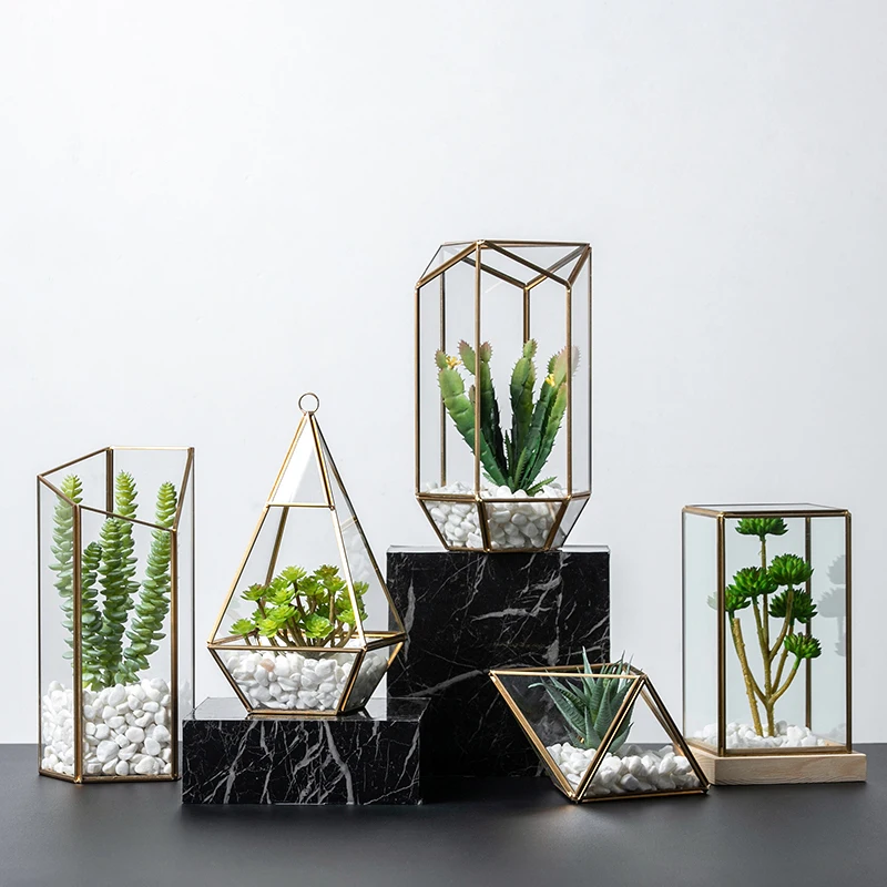 

Vintage Glass Geometric Box Irregular Plant Planter Flower Terrarium Box Tabletop Moss Fern Pot Micro Landscape Garden Decor