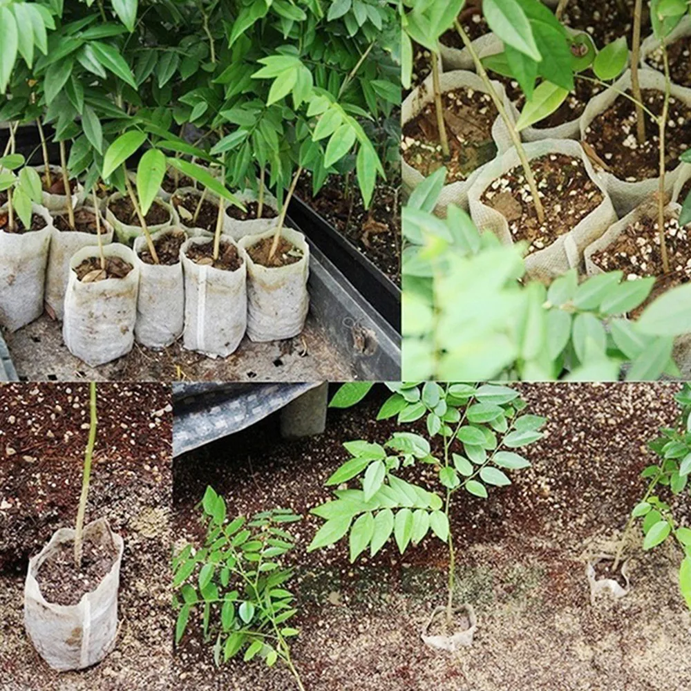 Рассады-мешки для растений нетканые ткани растения травы овощи кассеты для рассады выращивания защитная сумка Садовые принадлежности