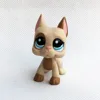LPS CAT Rare original pet shop toys #1647 dog Great Dane light brown eyes real action figures toy for kids Christmas gift ► Photo 2/2
