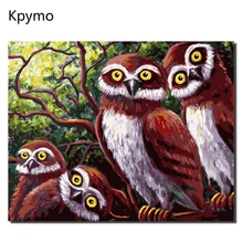 Краски ing по номеру DIY масляные краски 40X50 см холст книги по искусству любителей масляные краски ing домашний Декор подарок Совы VA-0180 Kpymo