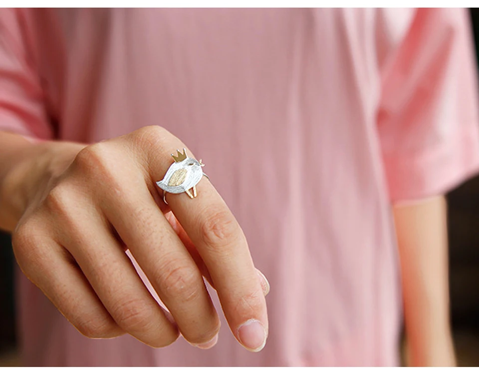 LFJD0085-Lovely-Princess-Bird_14