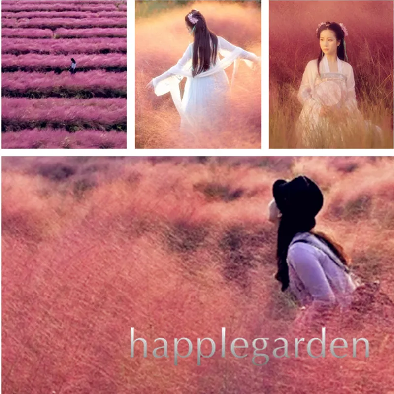 

Big promotion! 300 pcs Mexican Feather Grass Stipa Gorgeous Hardy Ornamental Grass Pampas Needle Grass Flower Pots Planters