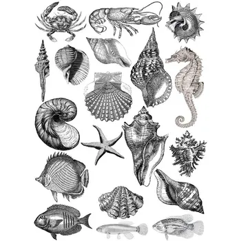 

2 PCS Black Conch Crabs Fish Sketch DIY Uncut Decoration Scrapbook Stationery Diary Sticker Planner Cute Label Travel Stickers