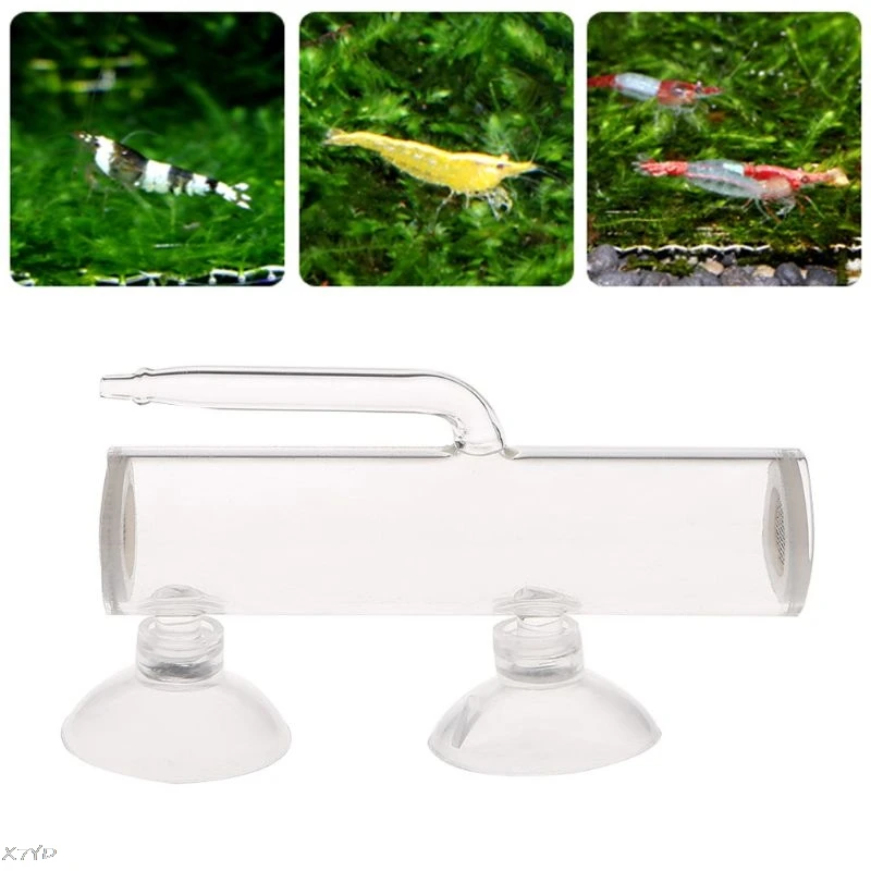 Aquarium Egg Incubator Hatch Crystal Shrimp Fish Tank Transparent Glass