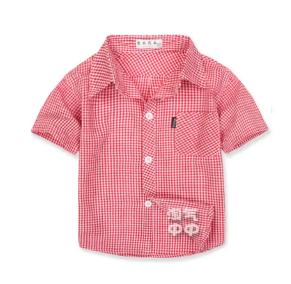 Image 19