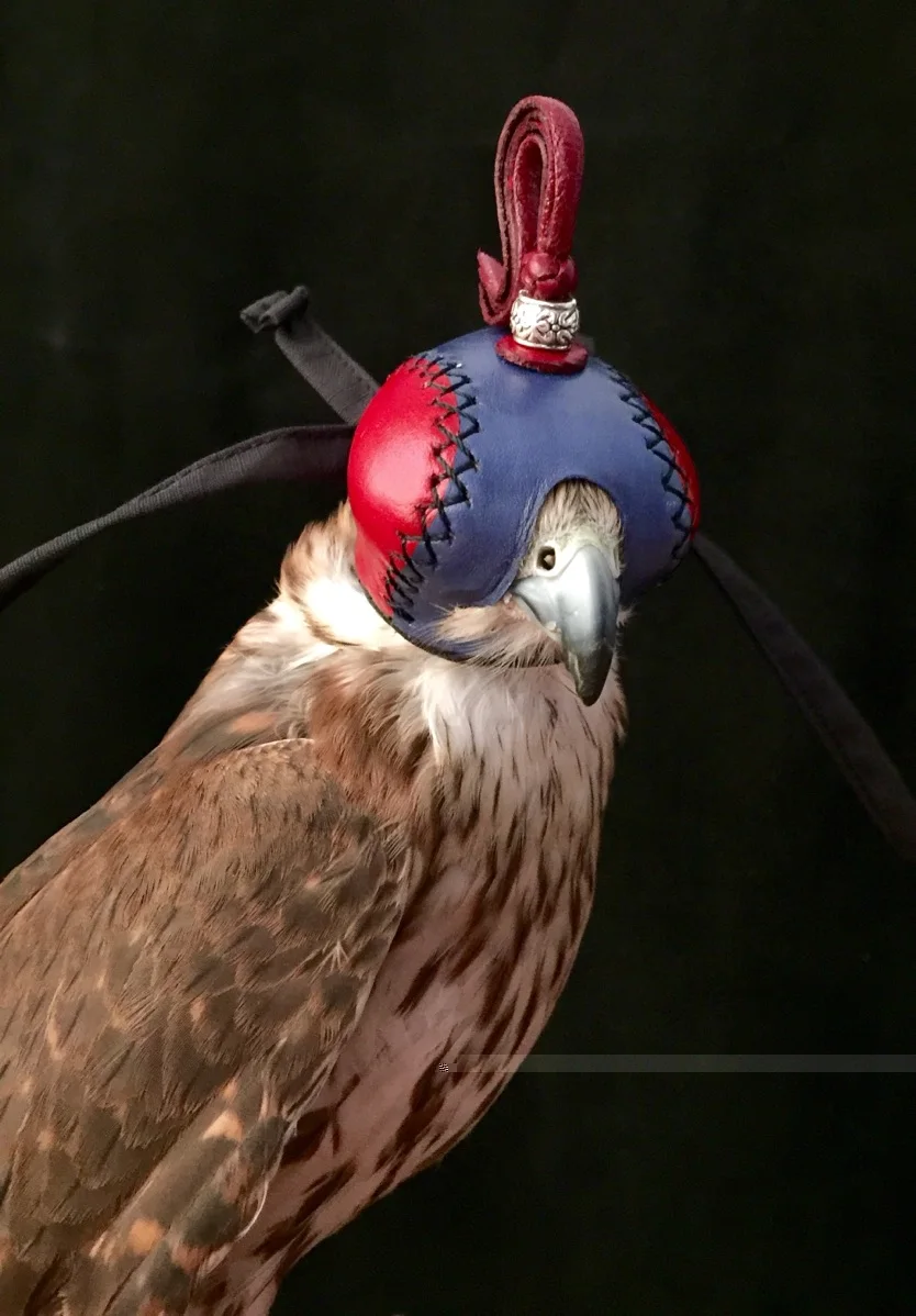 

Falconry Eagle Screaming Hood Falcon Hat Eye Mask Helmet Dutch Pedal Accipiter Nisus Accipiter Virgatus Affinis Eurasian Kestrel