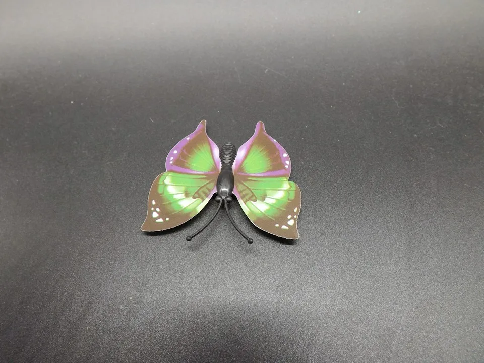 I253-Butterfly (8)