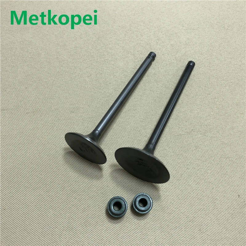 QM200GY engine valve (2)