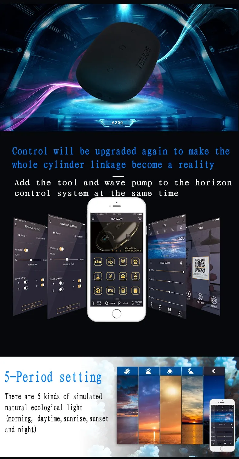 11_conew1