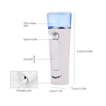 2 в 1 портативный пароочиститель для лица USB Перезаряжаемый внешний аккумулятор миниатюрный опрыскиватель холодный спрей красота, увлажняющий уход за кожей Инструменты