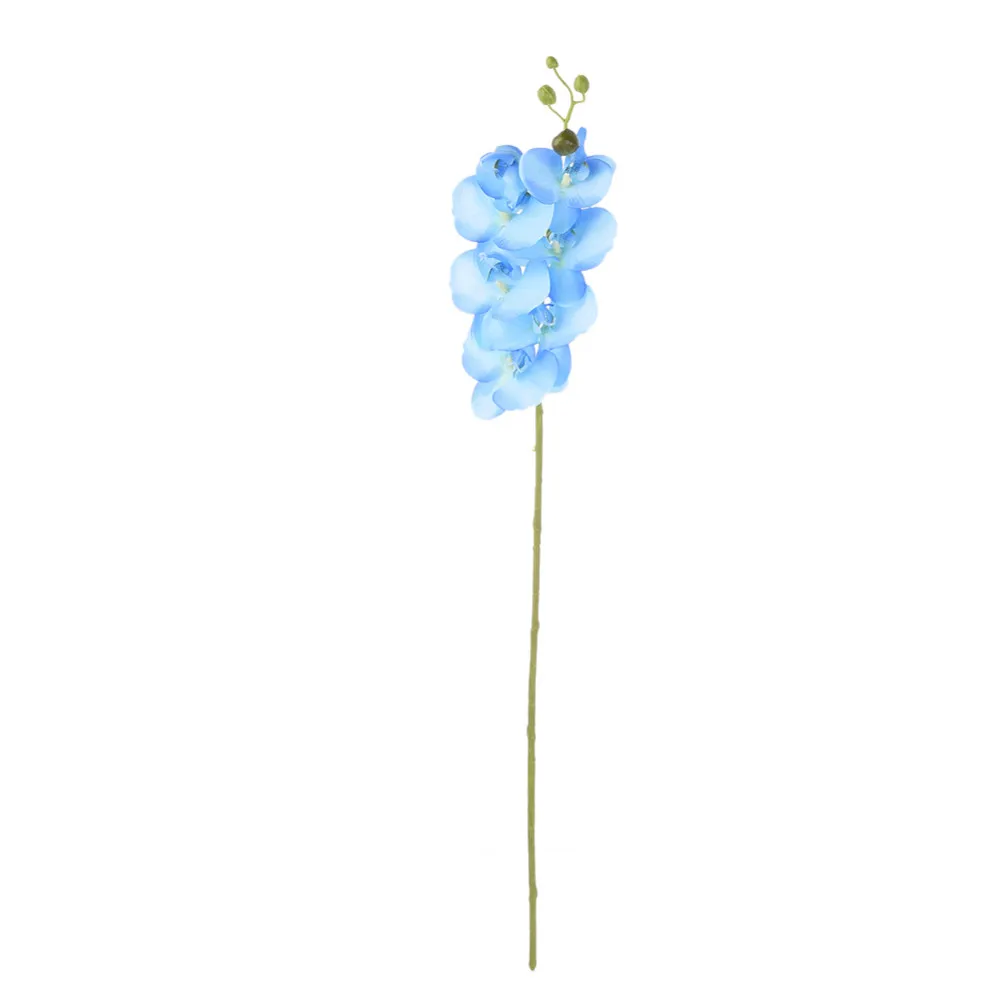 ZS313Blue (1)