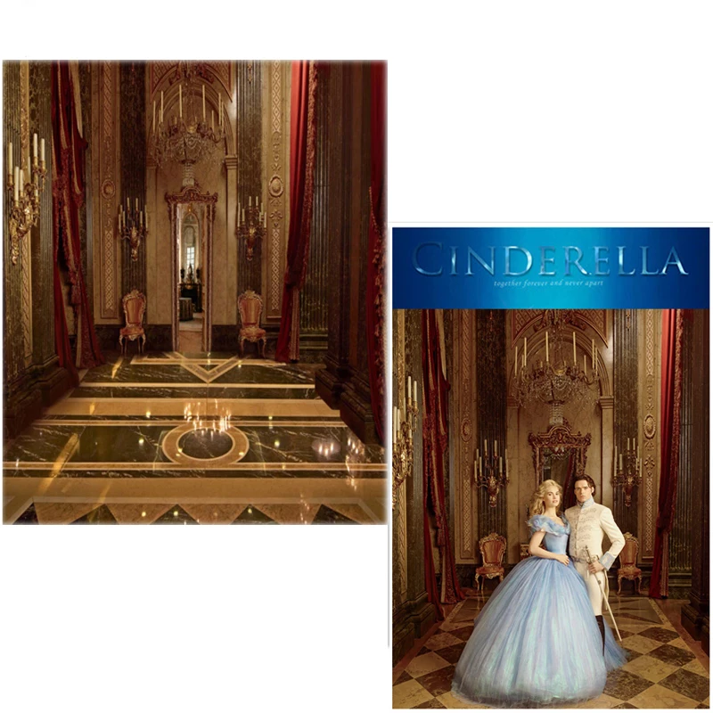 

DAWNKNOW Vinyl Photography Backdrops Cinderella Castle New Fabric Flannel Photo Background For Wedding photo studio 6750