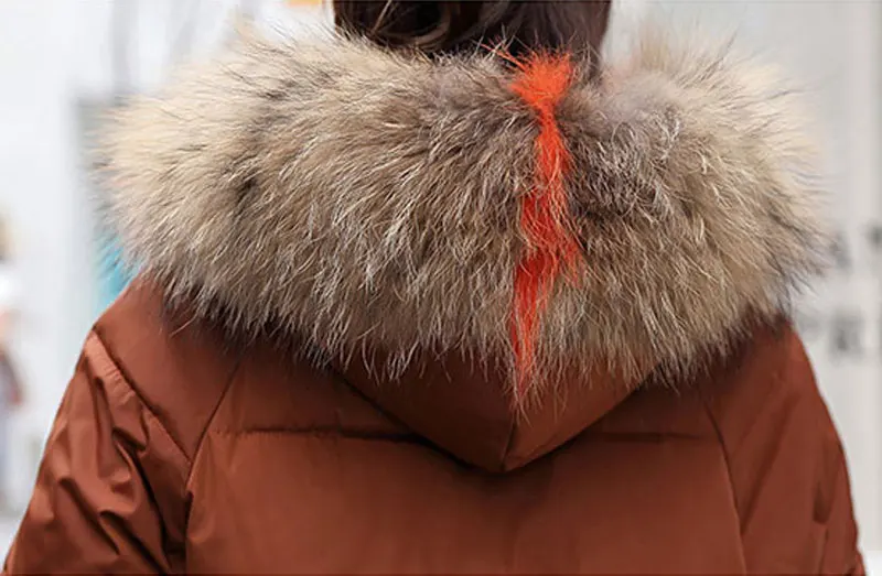 _2018---_54