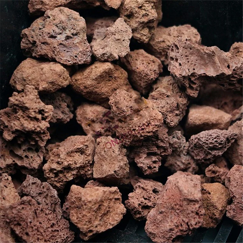 HTB1oZOyMpXXXXanXpXXq6xXFXXXI