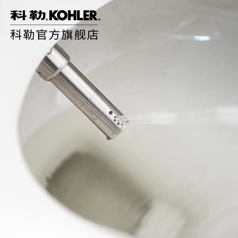 Умный туалет Kohler, крышка сиденья унитаза, умная крышка, крышка унитаза, очиститель для тела 41072018 Новое прибытие Hongying ПП доска открытая передняя