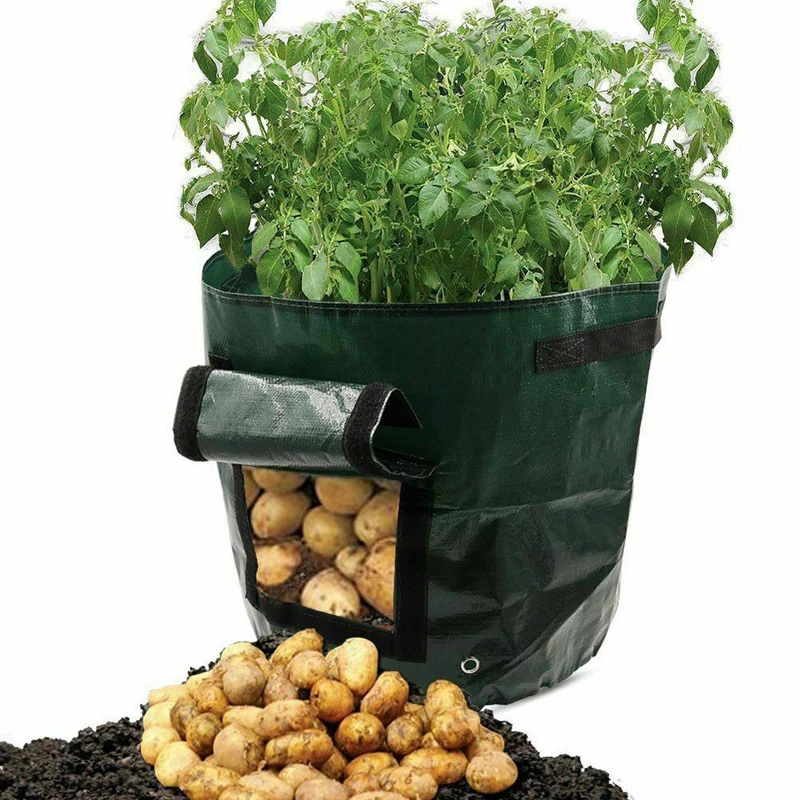 

Vegetable Plant Grow Bag DIY Potato Grow Planter PE Cloth Tomato Planting Container Bag Container Plant Eco-Friendly Grow Bag