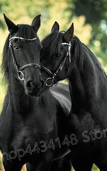 

Animal 5d diy diamond painting "two black horses" 3D diamond embroidery cross stitch full square resin rhinestone decorative