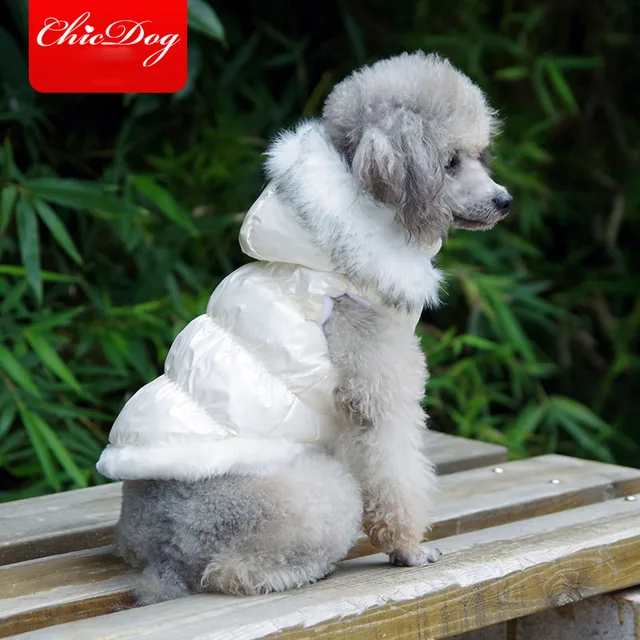 Hot selling pet clothes jacket for dog Winter cheap pet products