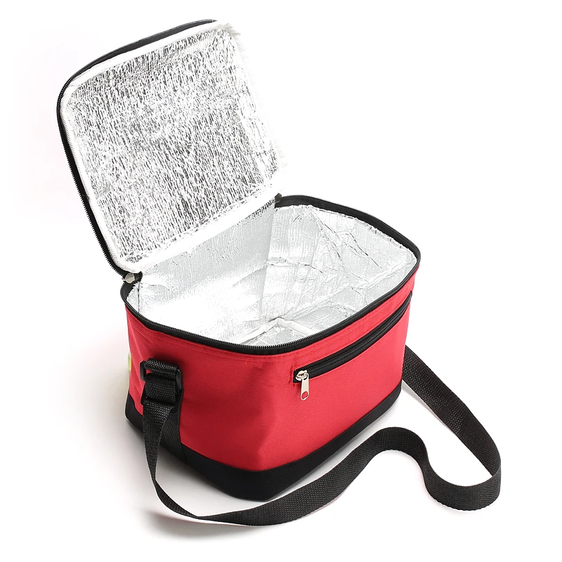 small travel cooler bag