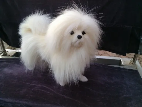 Игрушечная игрушка для собак Shih Tzu Реалистичная белая бежевая 27x26 см | Игрушки и