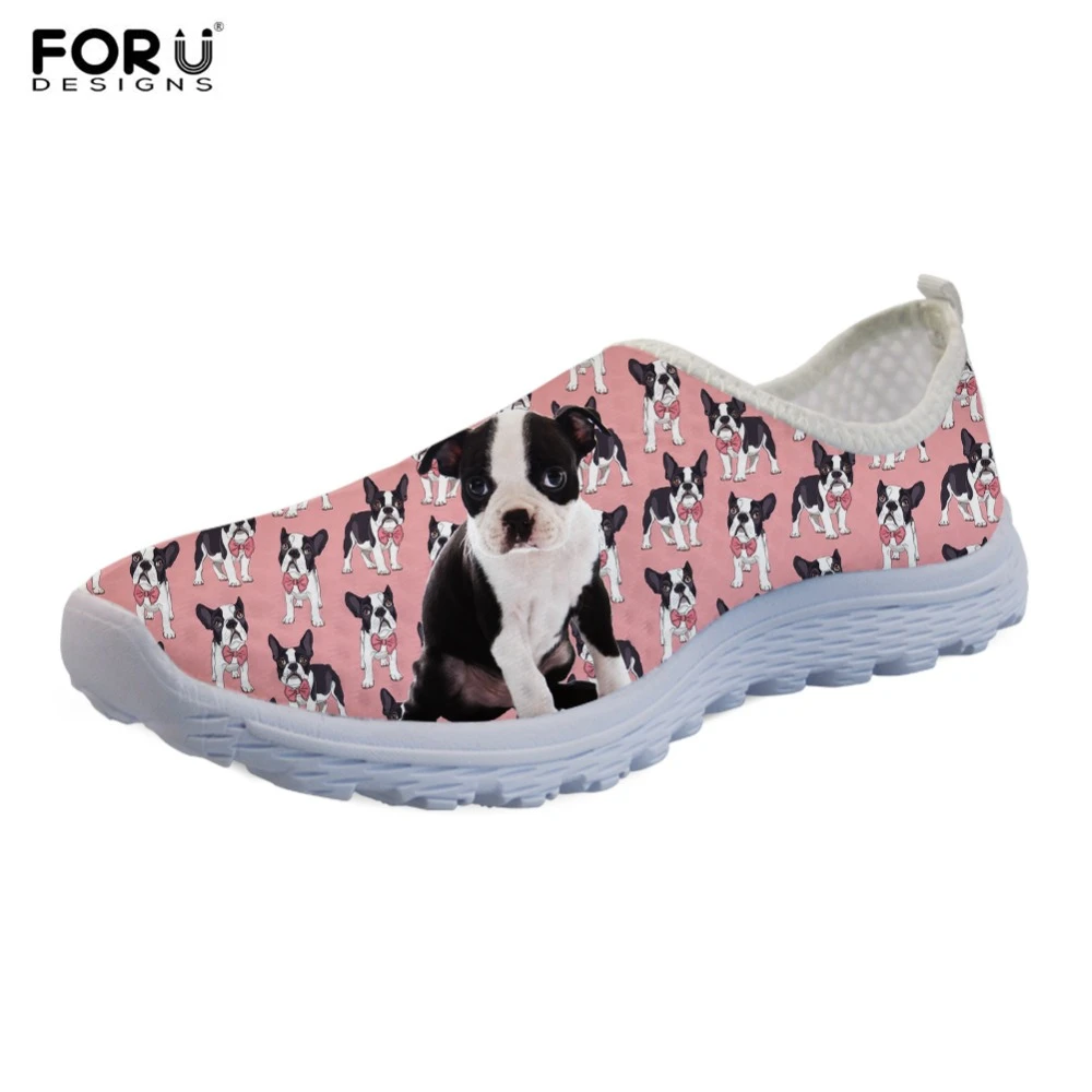 boston terrier flats