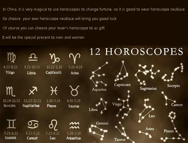 12星座2