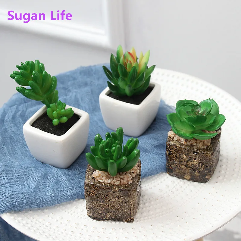 

Sugan Life 2019 NEW Green Miniature Accessories Mini ceramics/stone Tree Potted Simulation Potted Plants Desktop decoration