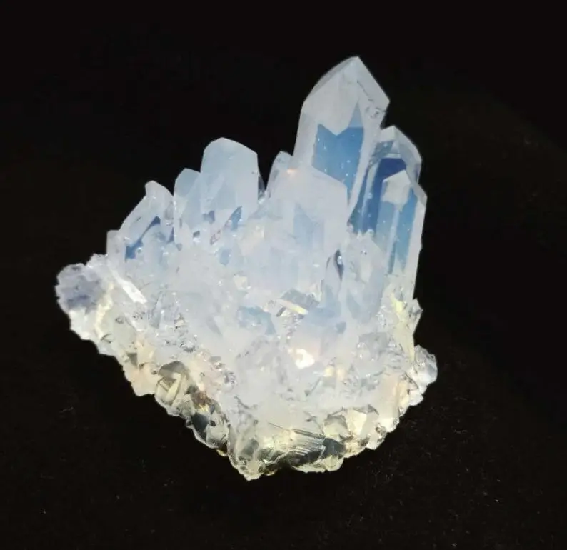 

40mm Coral Mold - Crystal Gems Stone silicone Mold/ Amethyst Crystal Mold/Home Decoration Resin Mold