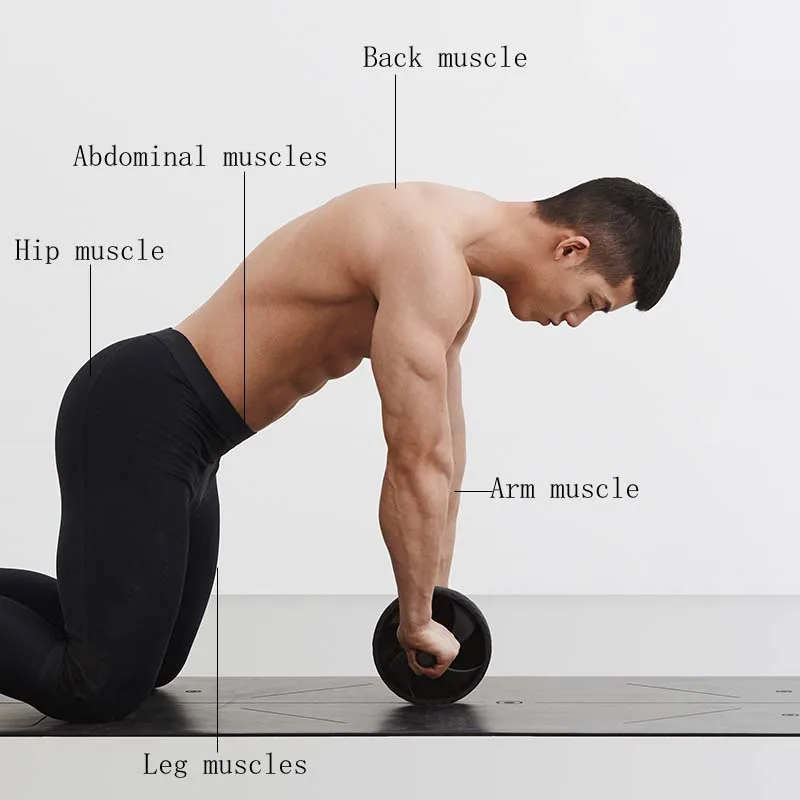 ab wheel for abs