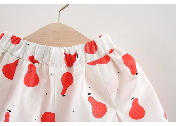 New Born Baby Girls Clothing Sets Princess Dress Tops+Hot short Pants 2 Pcs Kids Outfits Sets 2018 Children Summer Clothes Set (8)