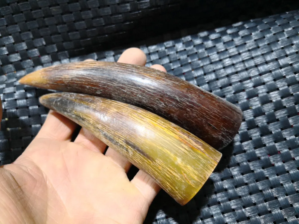 Tibet of yak horn Natural ox hornin Figurines & Miniatures from Home