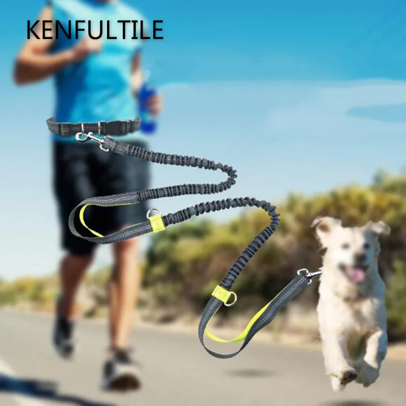 Hand Free Dog Running Leash Reflective Double Handle Elastic Bungee Adjustable Pet Lead Belt for
