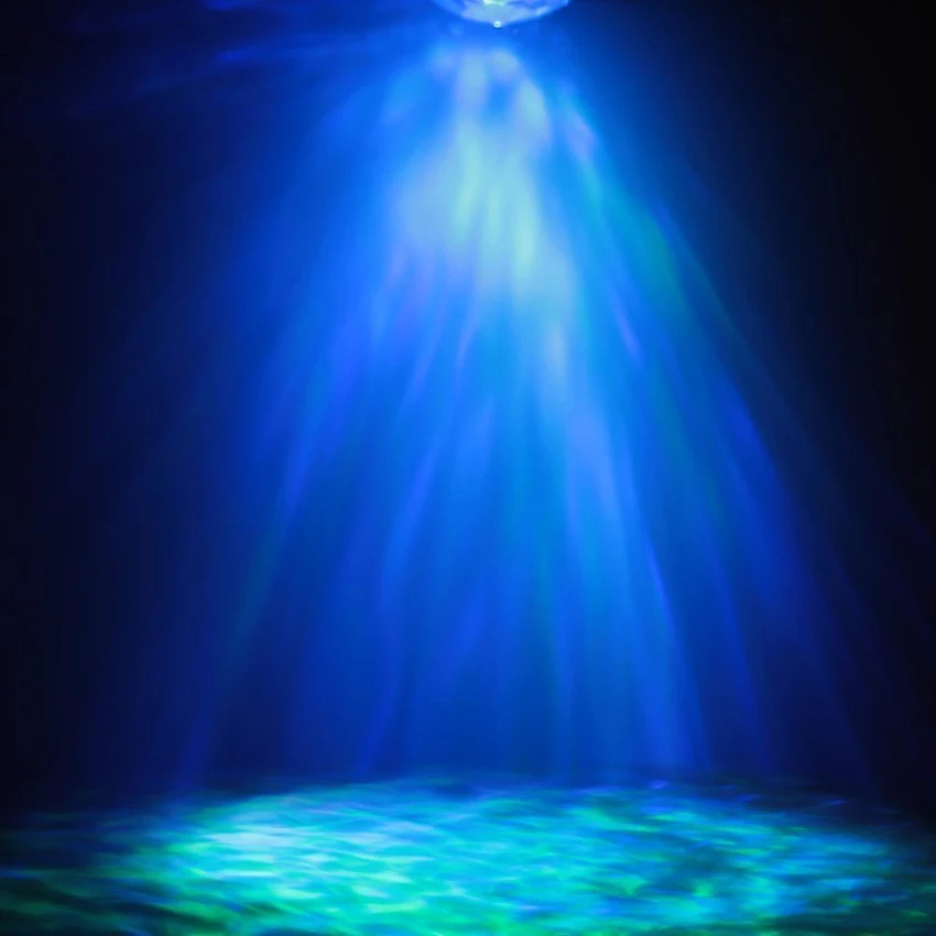 61LLTfjeZ7L._SL1000_