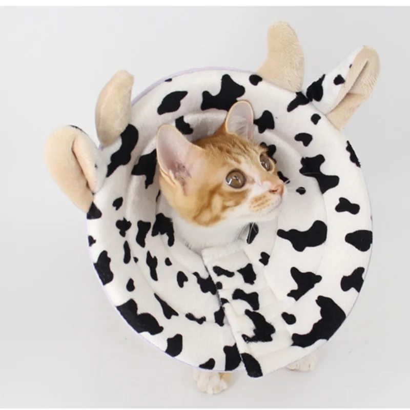 Elizabethan Collar Dog Cat Protection Cover Wound Healing Cone Protective Anti Bite Wound Healing Medical Beautify Shower PL0111 (13)