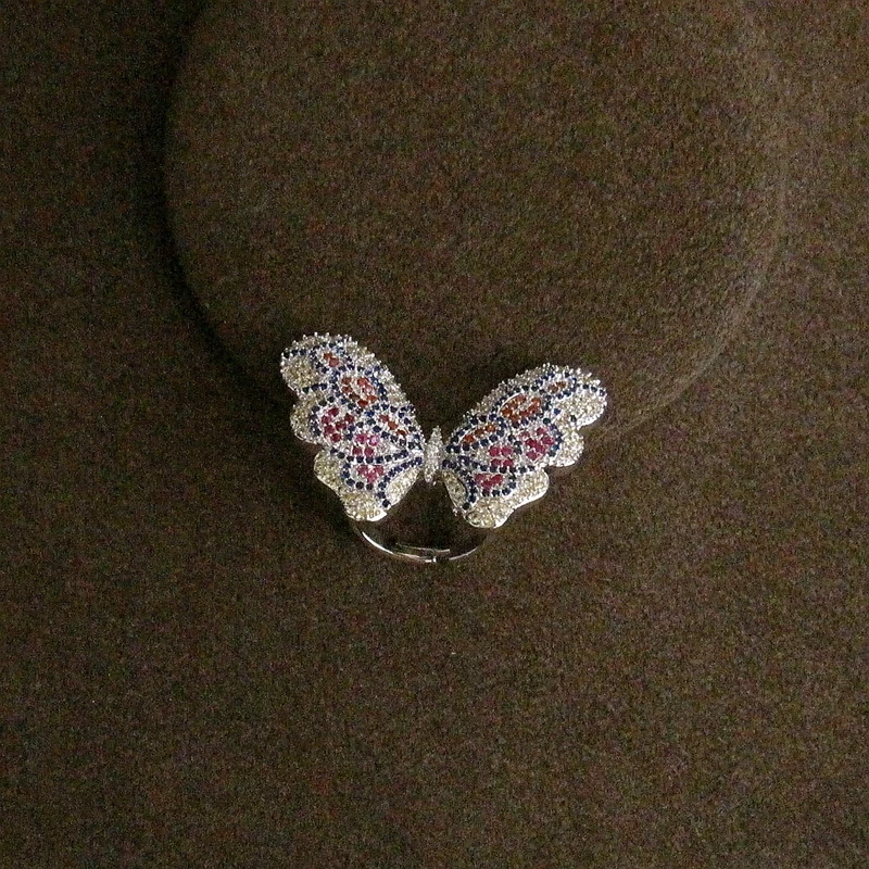 r1693 (17)_
