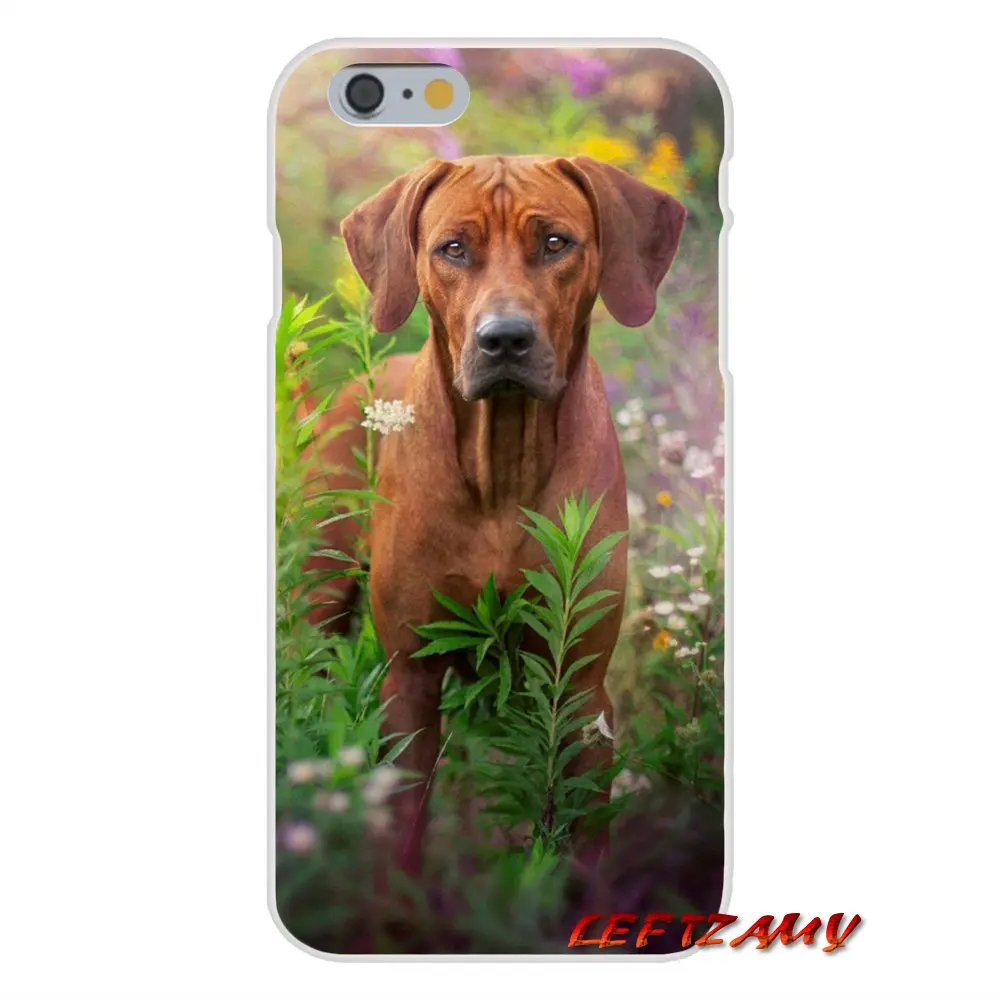 Модные мягкие прозрачные чехлы для iPhone X XR XS MAX 4 4S 5 5S 5C SE 6 6S 7 8 Plus ipod touch