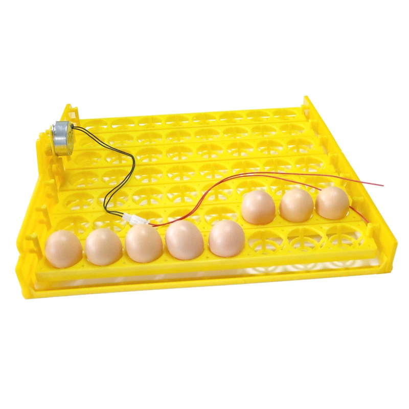 56 Eggs Incubator Chicken Duck And Other Poultry Automatic Incubator Poultry Eggs Poultry Incubation Equipment 56 Eggs Incubator Chicken Duck And Other Poultry Automatic Incubator Poultry Eggs Poultry Incubation Equipment