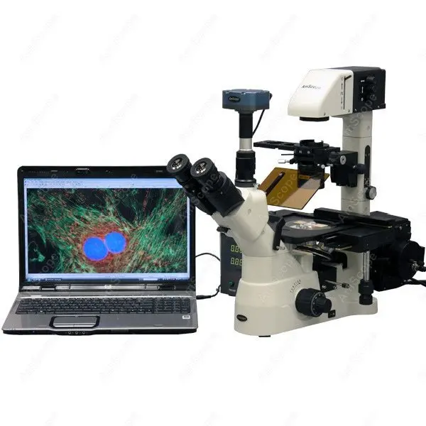 Фазовый Контраст AmScope поставки 40X 900X фазовый контраст флуоресценция