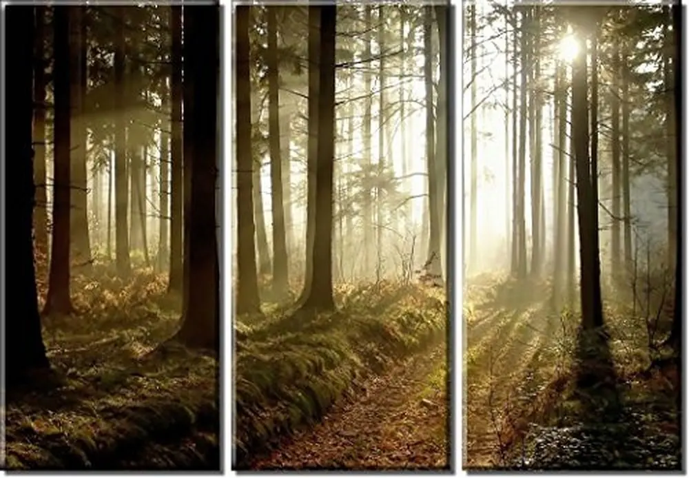 

3 Piece Canvas Print Painting Forest Sunset Sunlight Autumn Wall Art Home Decoration Painting Living Room