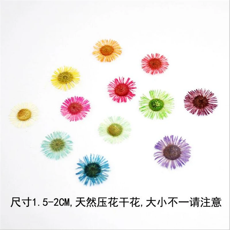 QQ截图20190703160425
