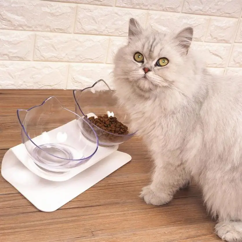 

2 Bowls Pet Cats Transparent Bowl with Holder Anti-slip Cat Food Dish Pet Feeder Pet Dog Cats Puppy Outdoor Food Dish Feeding